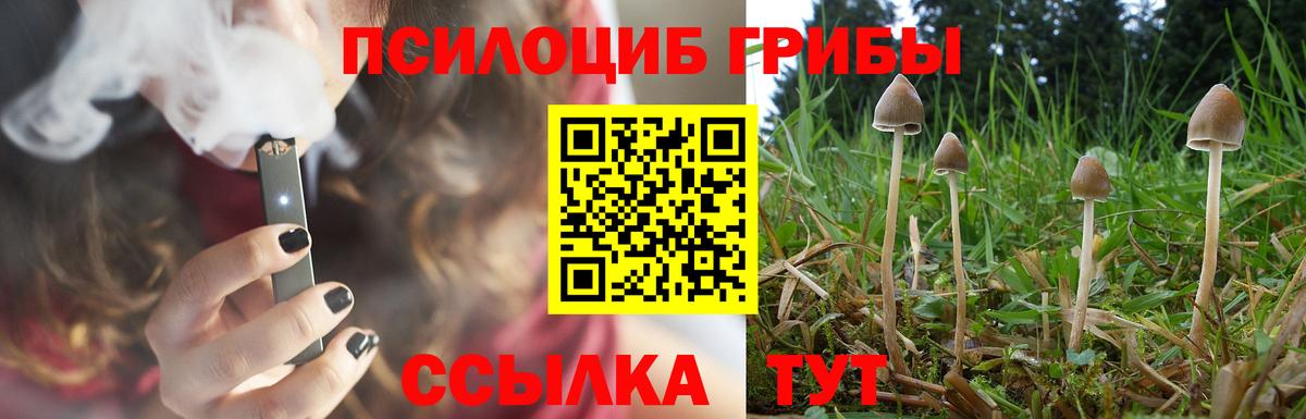 Псилоцибиновые грибы прущие грибы  Вход с VPN  Лосино-Петровский 